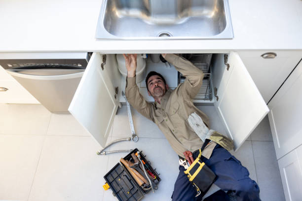 Best Same-Day Plumbing Service  in Ecorse, MI